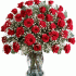 Israel Flowers 3 dozzine di mazzi di rose (f1)