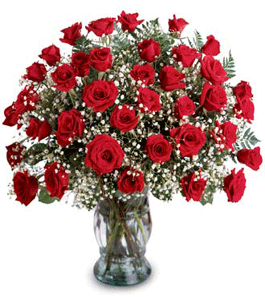 Israel Flowers 3 Dozen Roses Bouquets (f1)