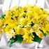 Flores de Israel (f21) Placer amarillo