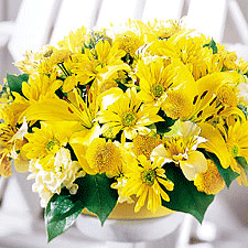 Flores de Israel (f21) Placer amarillo