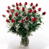 Israelische Blumen (f24) 24 rote Rosen