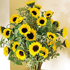 Fleurs d&#39;Israël (f31) Bouquet de tournesol