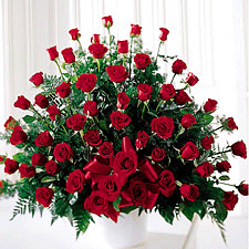 Fleurs d&#39;Israël (f36) 60 roses rouges