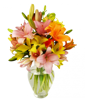 Цветы Израиля (f44) Букет азиатских лилий в ассортименте из 12 стеблей