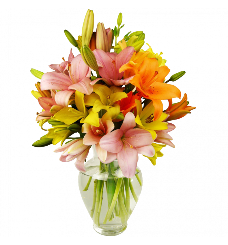 Israel Flowers (f44) 12 Stem Assorted Asiatic Lily Bunch